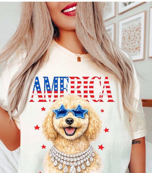 American Dog