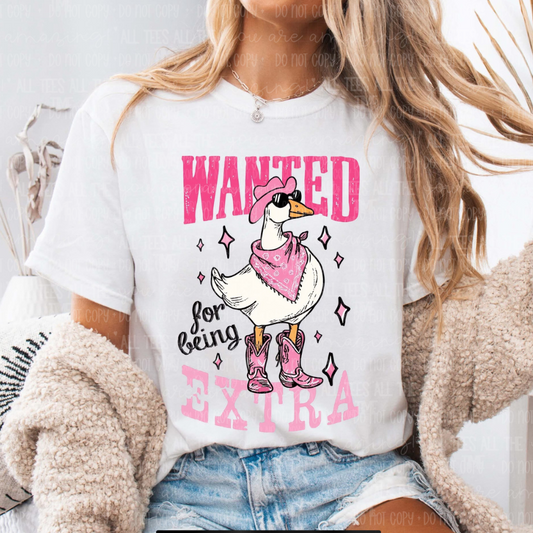 Wanted For Being Extra