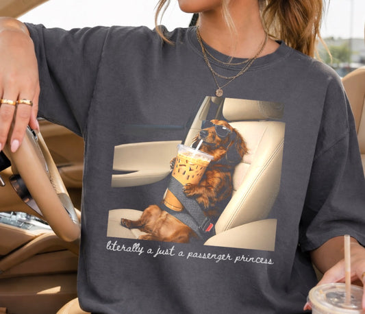 Literally Just a Passenger Princess